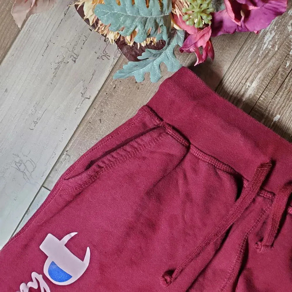 Pharmacy Boardshop Burgundy Question Authority Fleece-lined Joggers Size Medium - Picture 5 of 15